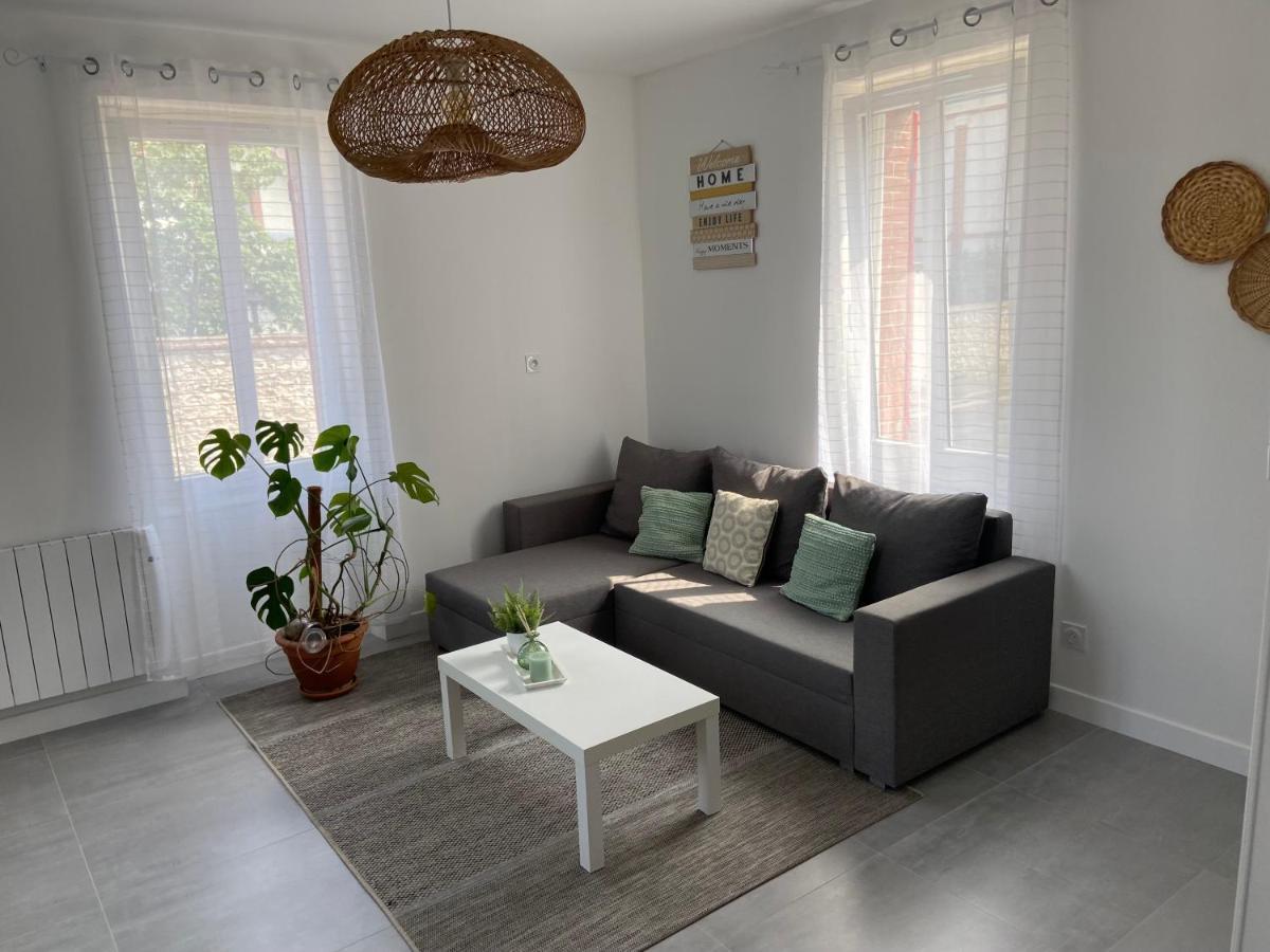 Charmante Maison Entierement Renovee Coeur De Ville ブロワ エクステリア 写真